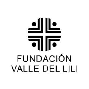 Identificador gráfico o logo de Fundación Valle del Lili